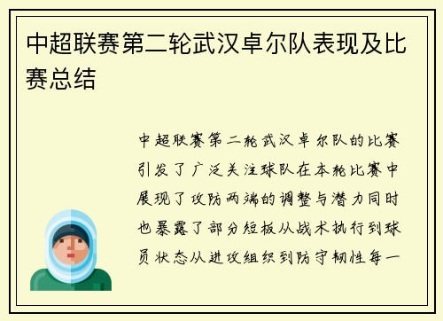 中超联赛第二轮武汉卓尔队表现及比赛总结